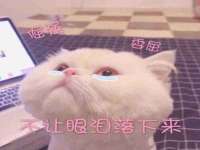 南京墨丘利家居有限公司
