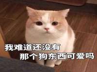 南京墨丘利家居有限公司
