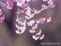 南京墨丘利家居有限公司