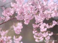 南京墨丘利家居有限公司