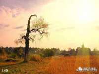 南京墨丘利家居有限公司
