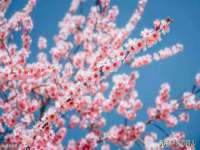南京墨丘利家居有限公司