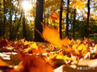 南京墨丘利家居有限公司