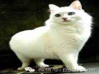 南京墨丘利家居有限公司