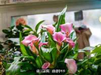 南京墨丘利家居有限公司