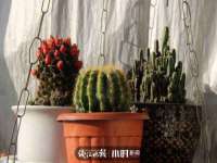 南京墨丘利家居有限公司