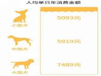 南京墨丘利家居有限公司