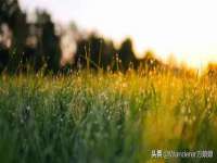 南京墨丘利家居有限公司