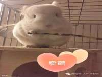 南京墨丘利家居有限公司