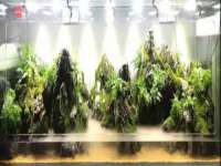 南京墨丘利家居有限公司