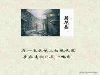 南京墨丘利家居有限公司