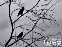 南京墨丘利家居有限公司