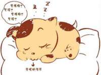南京墨丘利家居有限公司