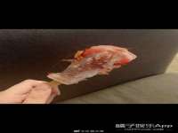 南京墨丘利家居有限公司